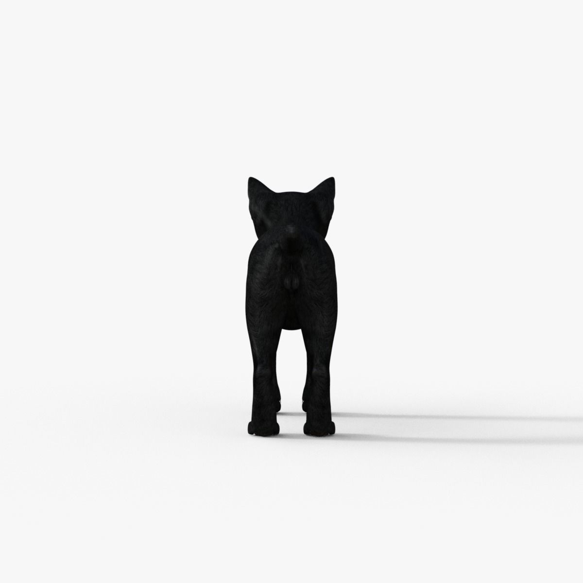 Realistic 3D Black  Kitten Rigged 3D model_5