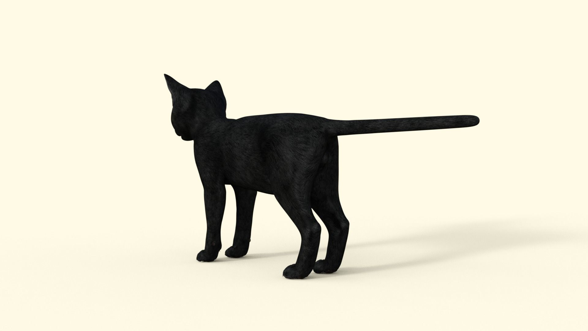 Realistic 3D Black  Kitten Rigged 3D model_29