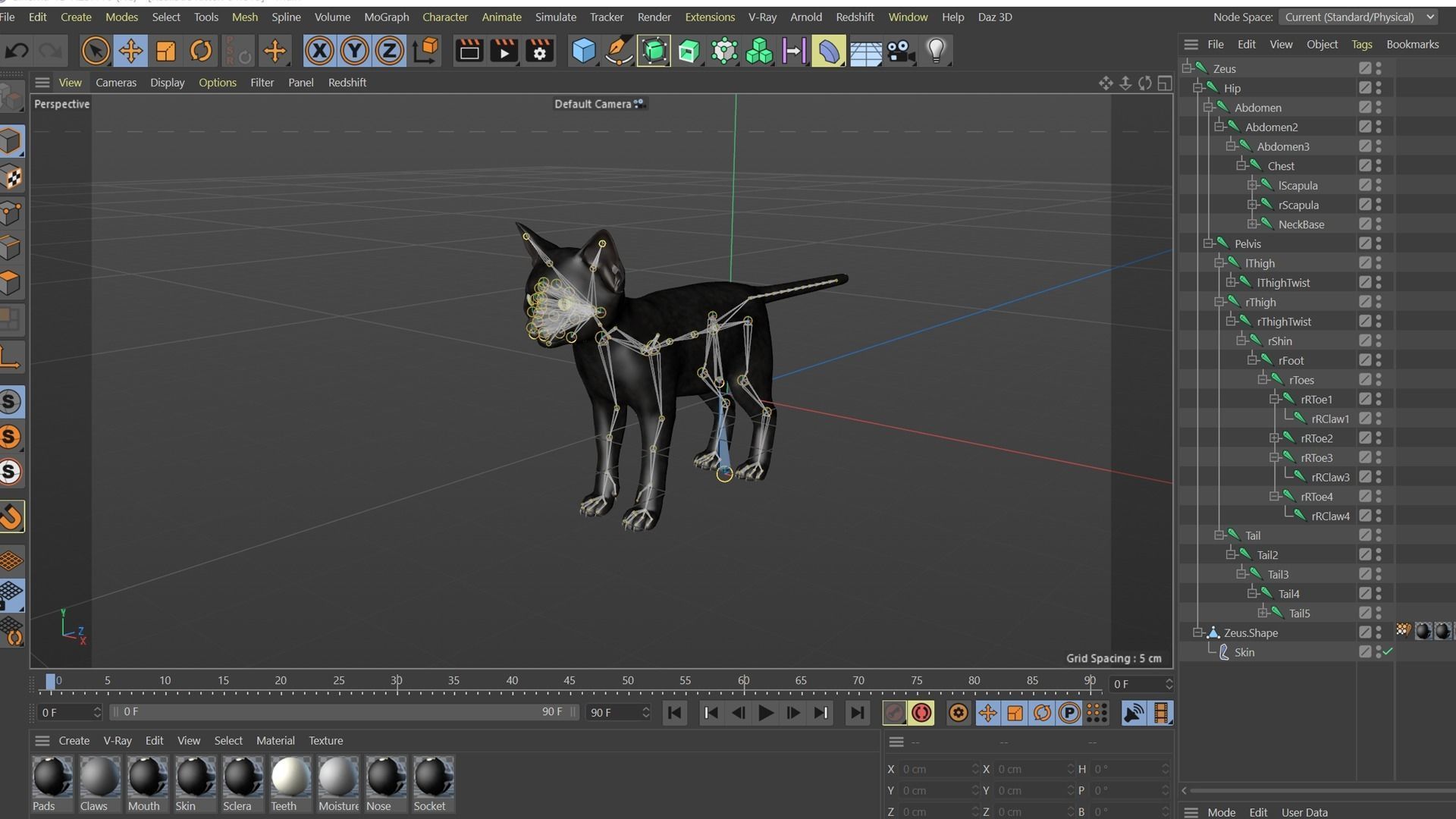 Realistic 3D Black  Kitten Rigged 3D model_36
