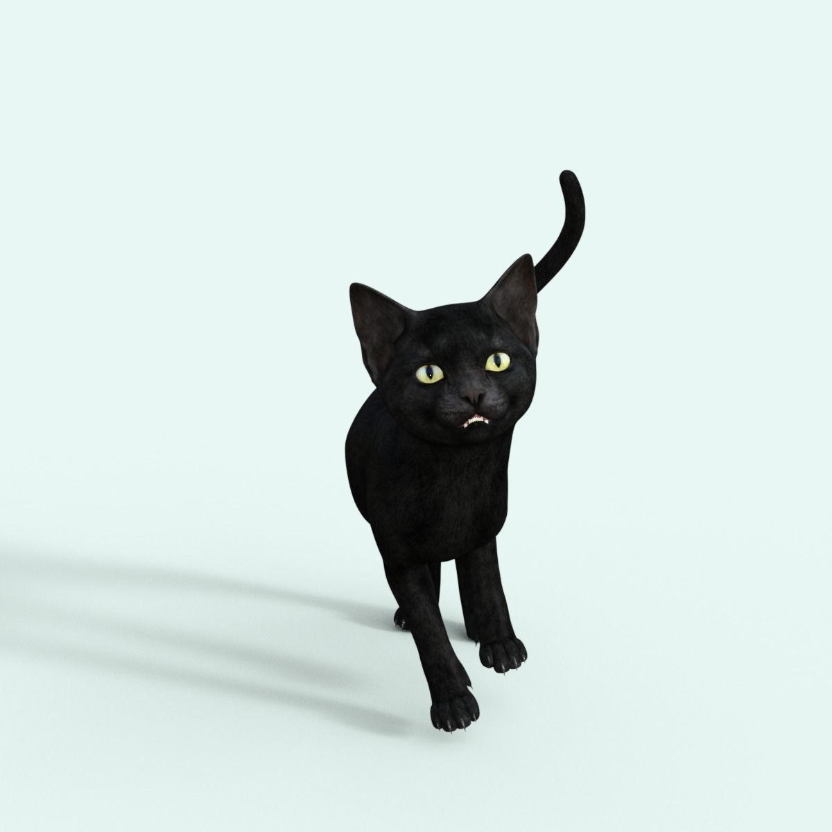 Realistic 3D Black  Kitten Rigged 3D model_23