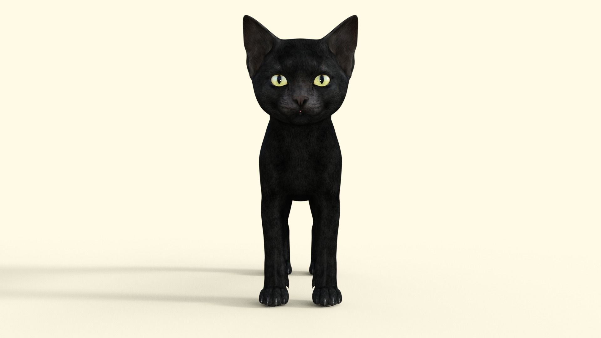 Realistic 3D Black  Kitten Rigged 3D model_25
