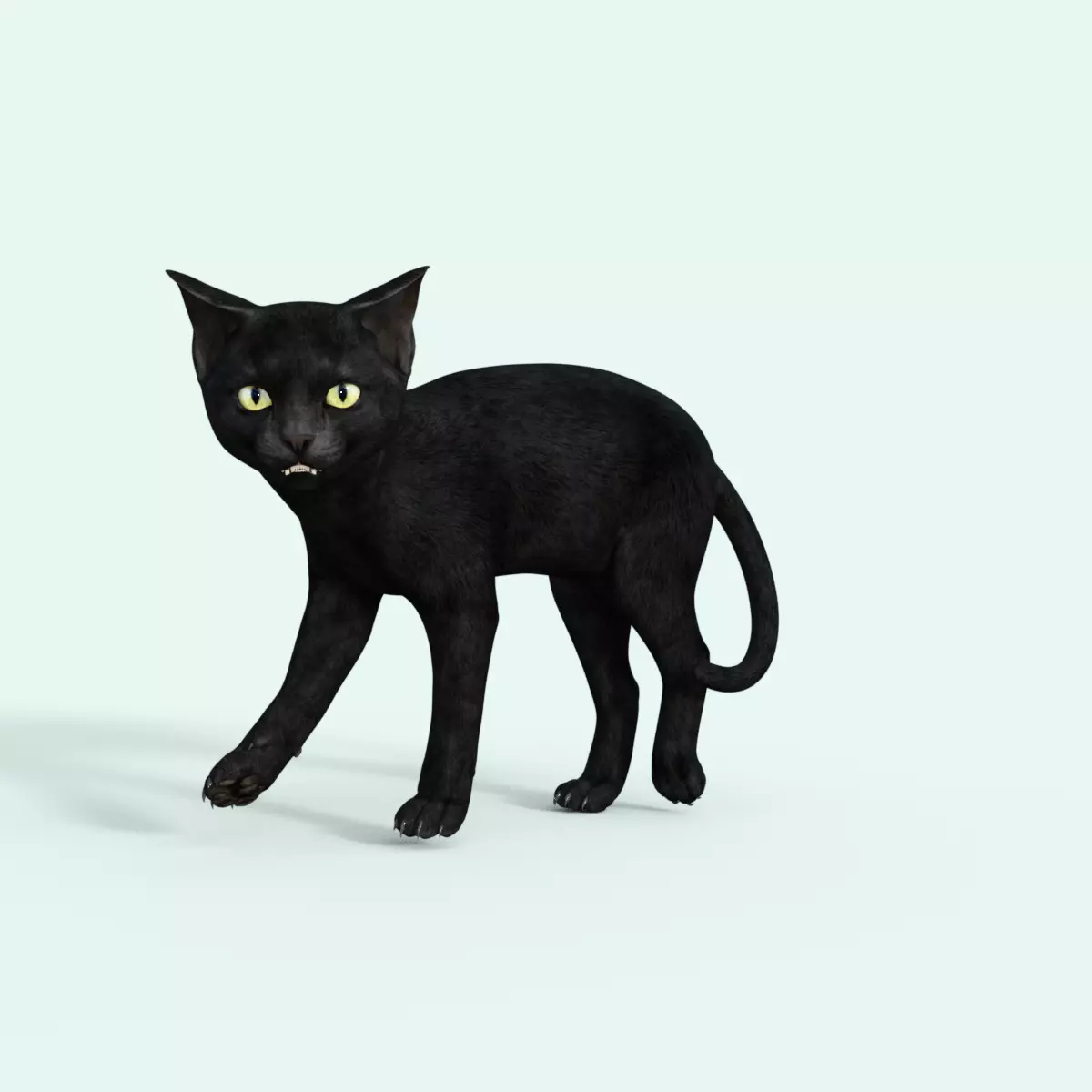 Realistic 3D Black  Kitten Rigged 3D model_0