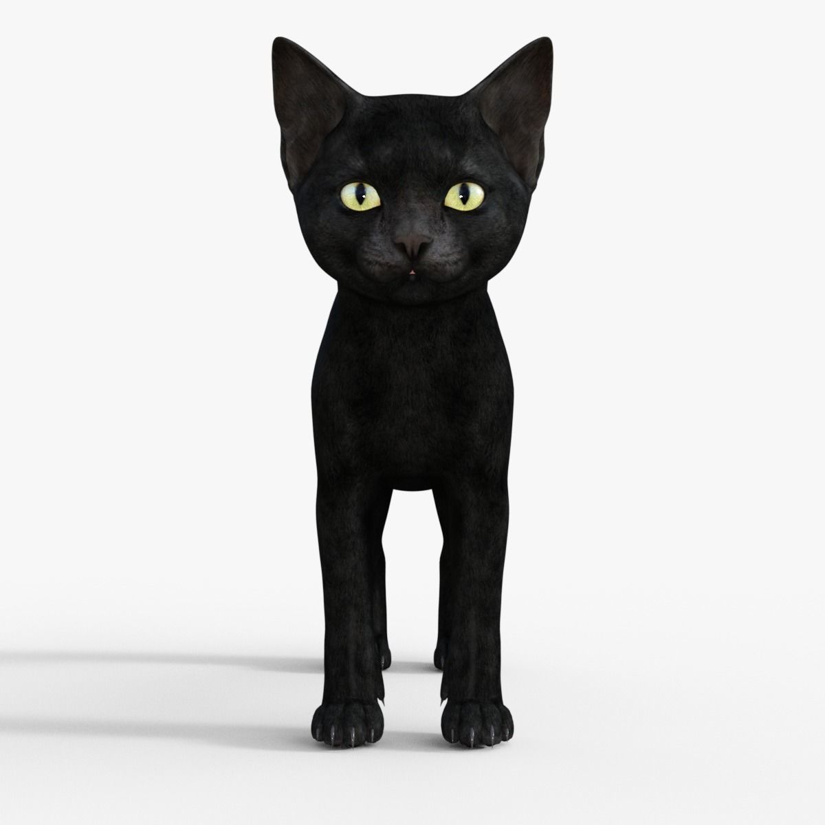 Realistic 3D Black  Kitten Rigged 3D model_1