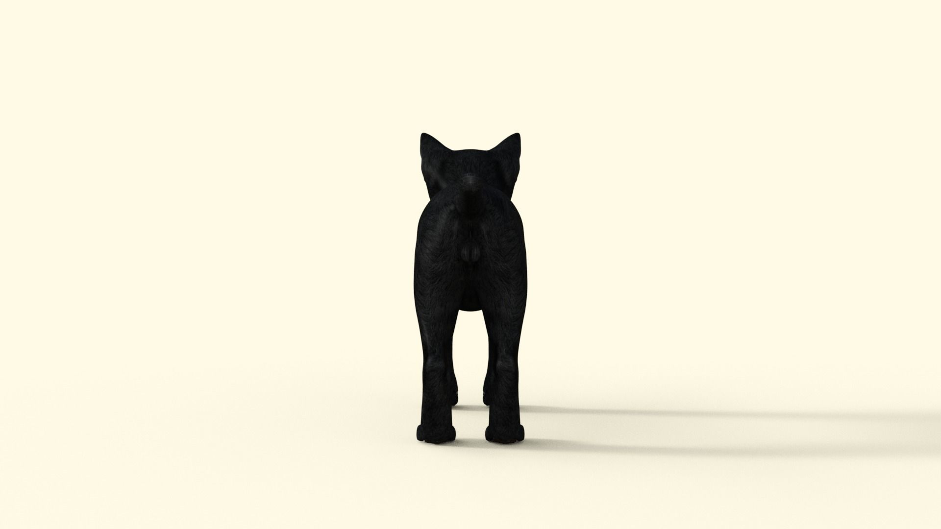 Realistic 3D Black  Kitten Rigged 3D model_30