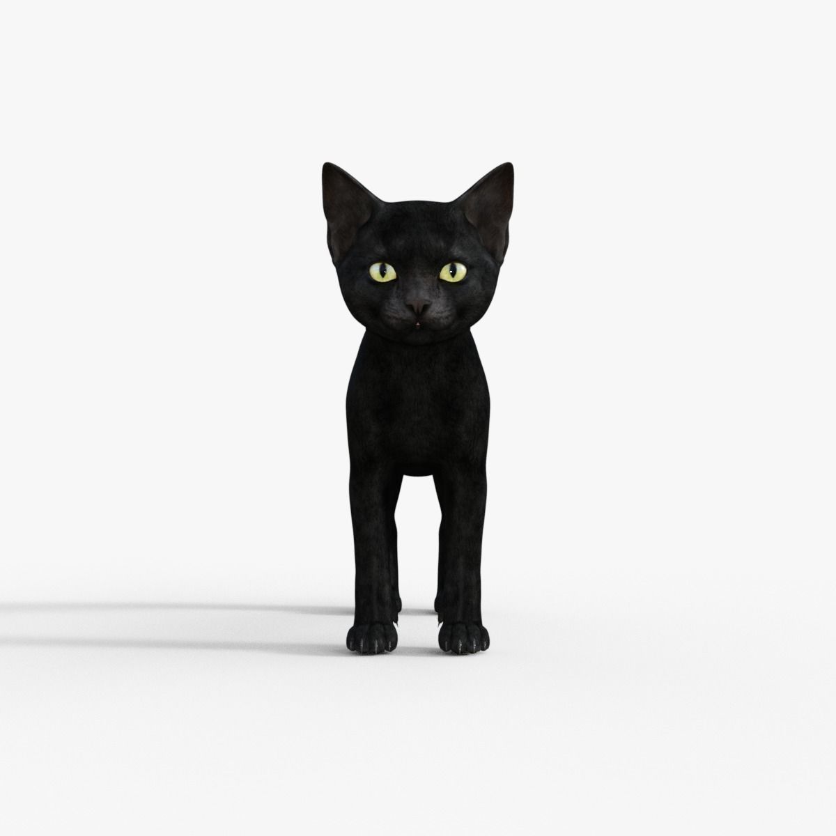 Realistic 3D Black  Kitten Rigged 3D model_9