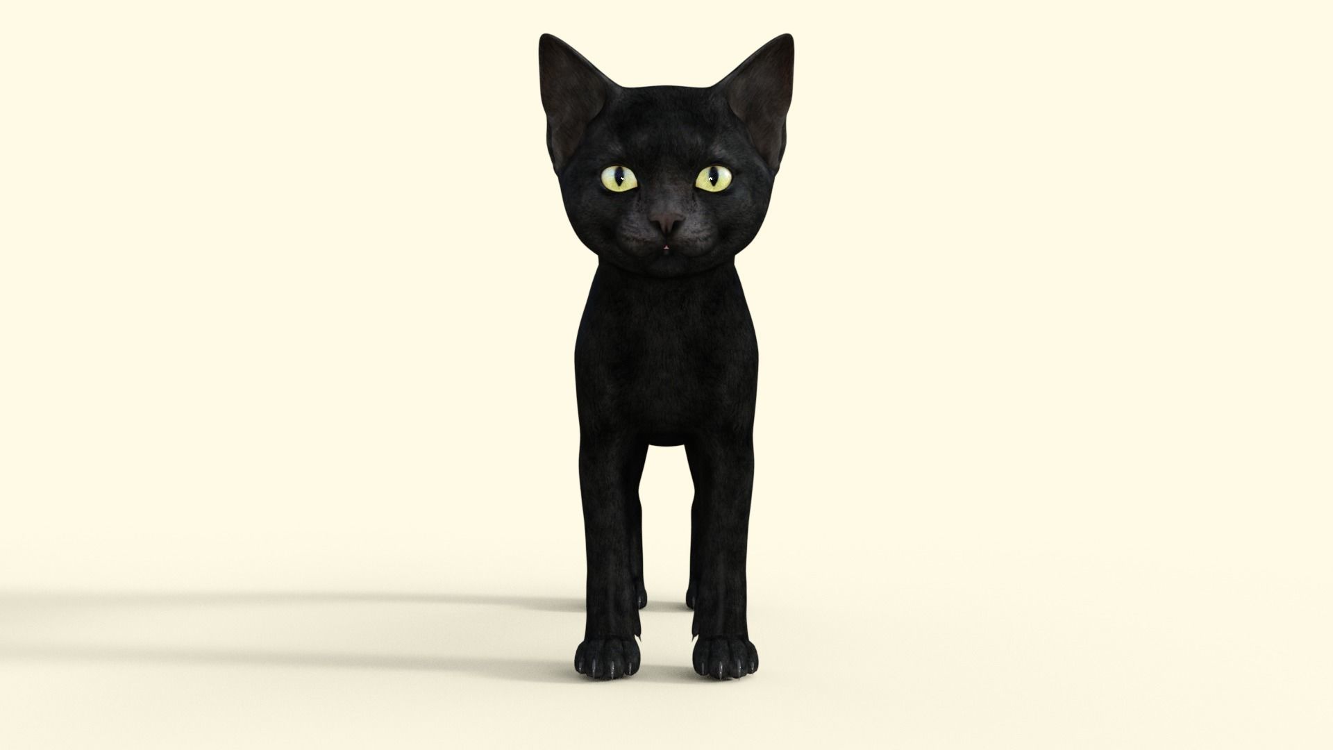 Realistic 3D Black  Kitten Rigged 3D model_31