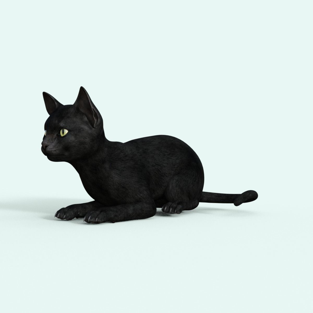 Realistic 3D Black  Kitten Rigged 3D model_18