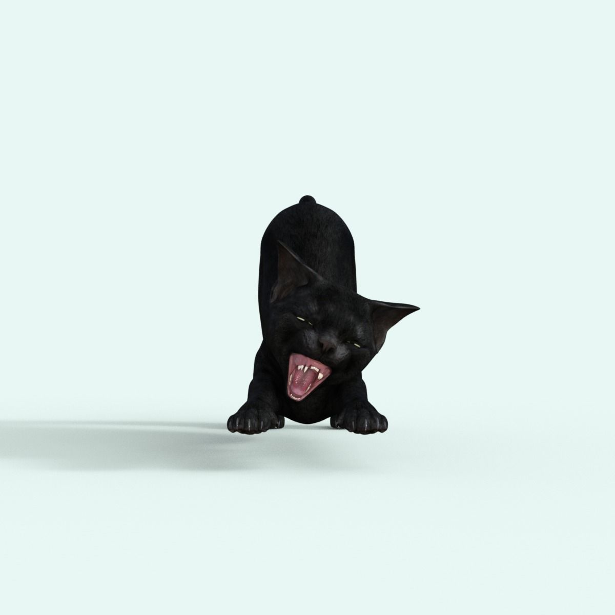 Realistic 3D Black  Kitten Rigged 3D model_17