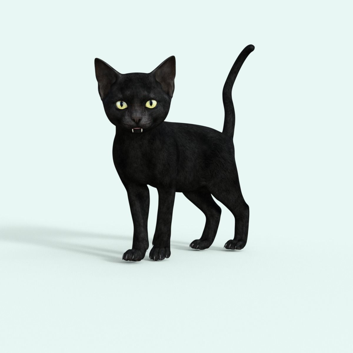 Realistic 3D Black  Kitten Rigged 3D model_21
