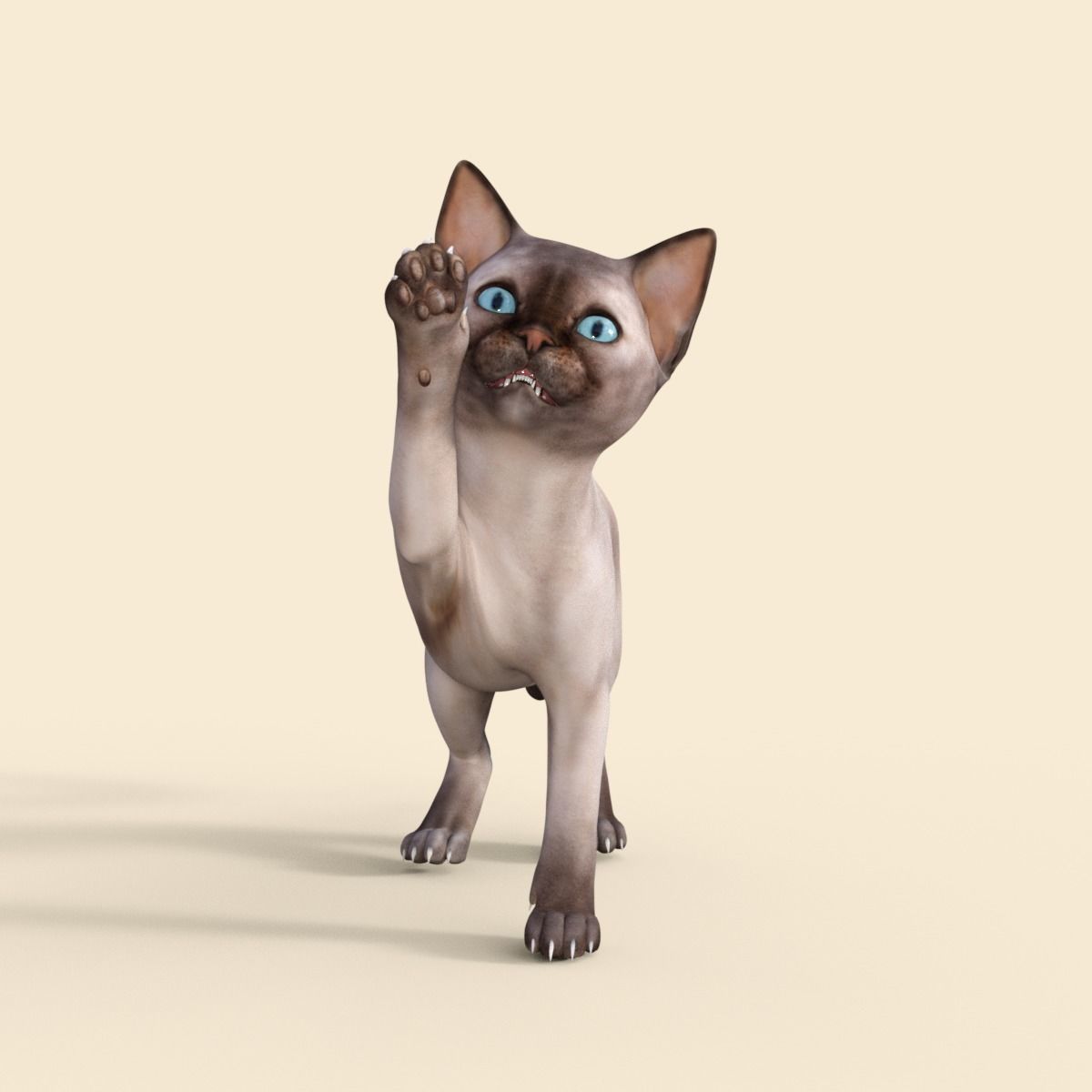 3D Realistic Siamese  Cute Kitten Rigged 3D model_19