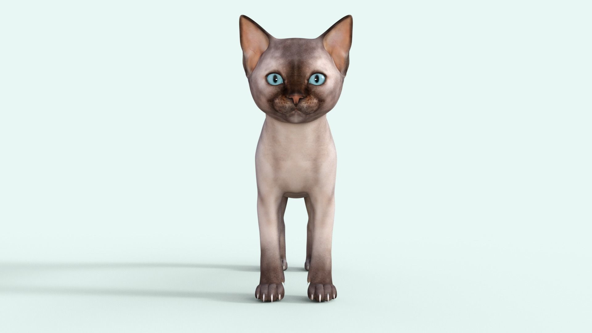 3D Realistic Siamese  Cute Kitten Rigged 3D model_32