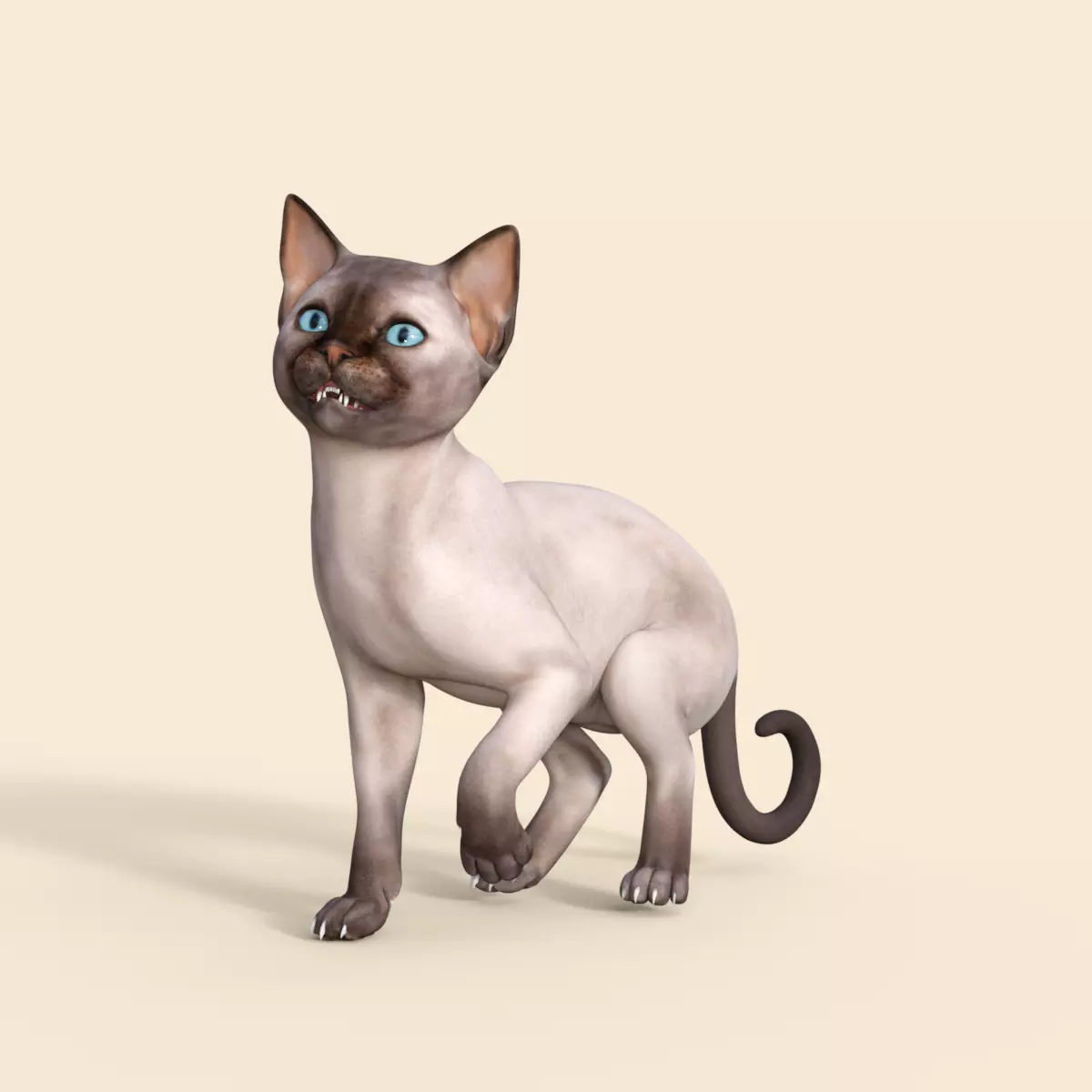 3D Realistic Siamese  Cute Kitten Rigged 3D model_0