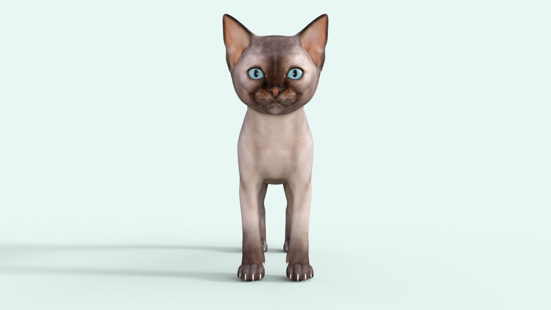 3D Realistic Siamese  Cute Kitten Rigged 3D model_24