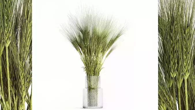 Bouquet of wildflowers from green ears of wheat 397