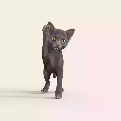 Cute 3D Kitten Rigged