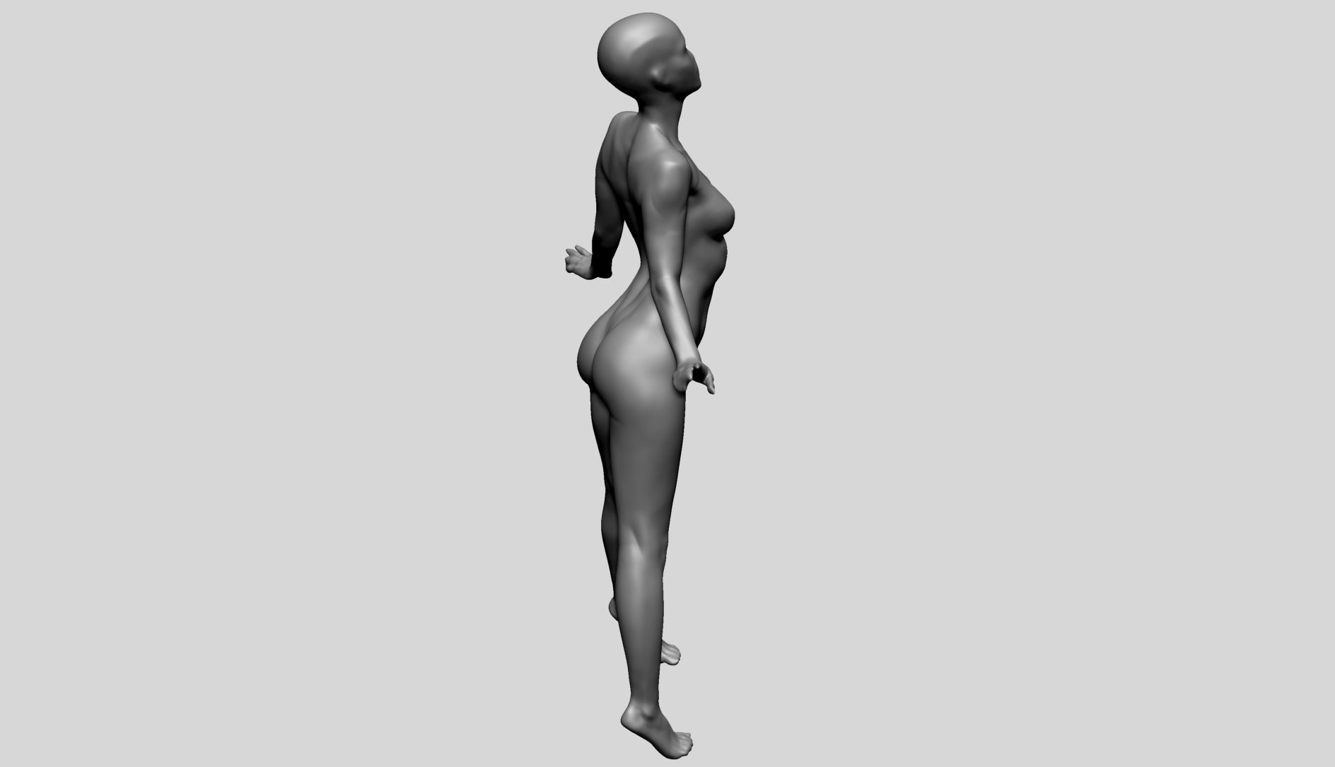 Dynamic Female Anatomy A 3D model_4