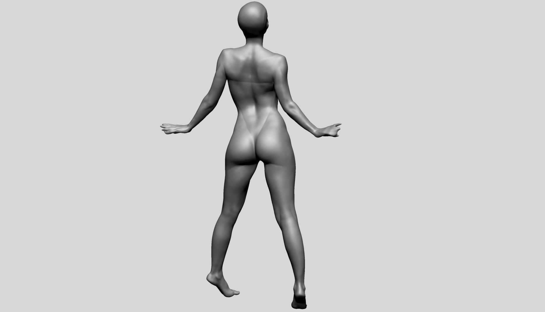 Dynamic Female Anatomy A 3D model_5