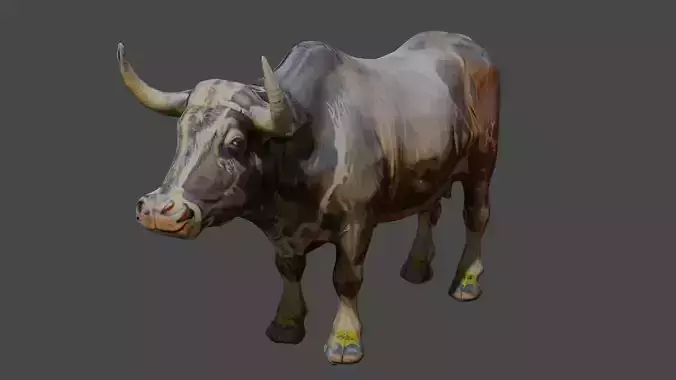 Pakistani cow 3d model free