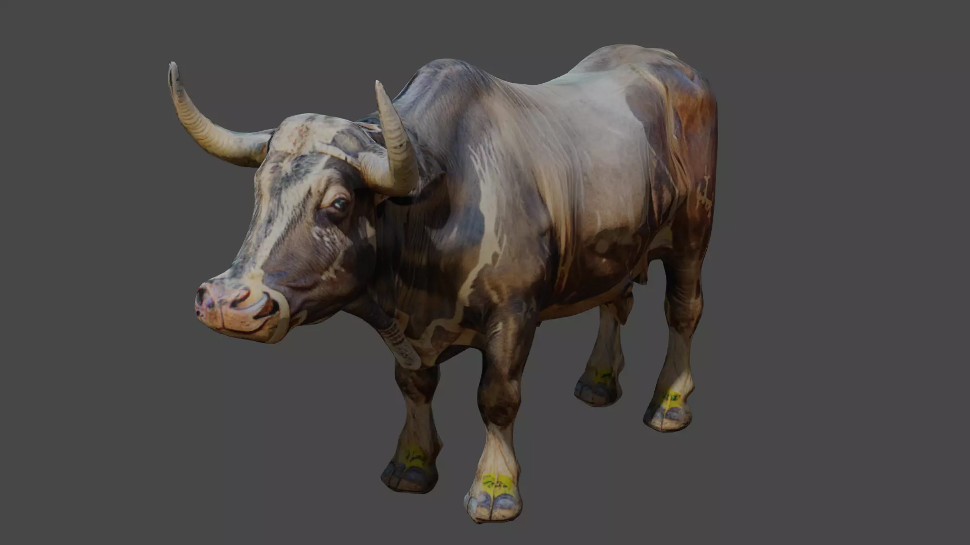 Pakistani cow 3d model free Free low-poly 3D model_0