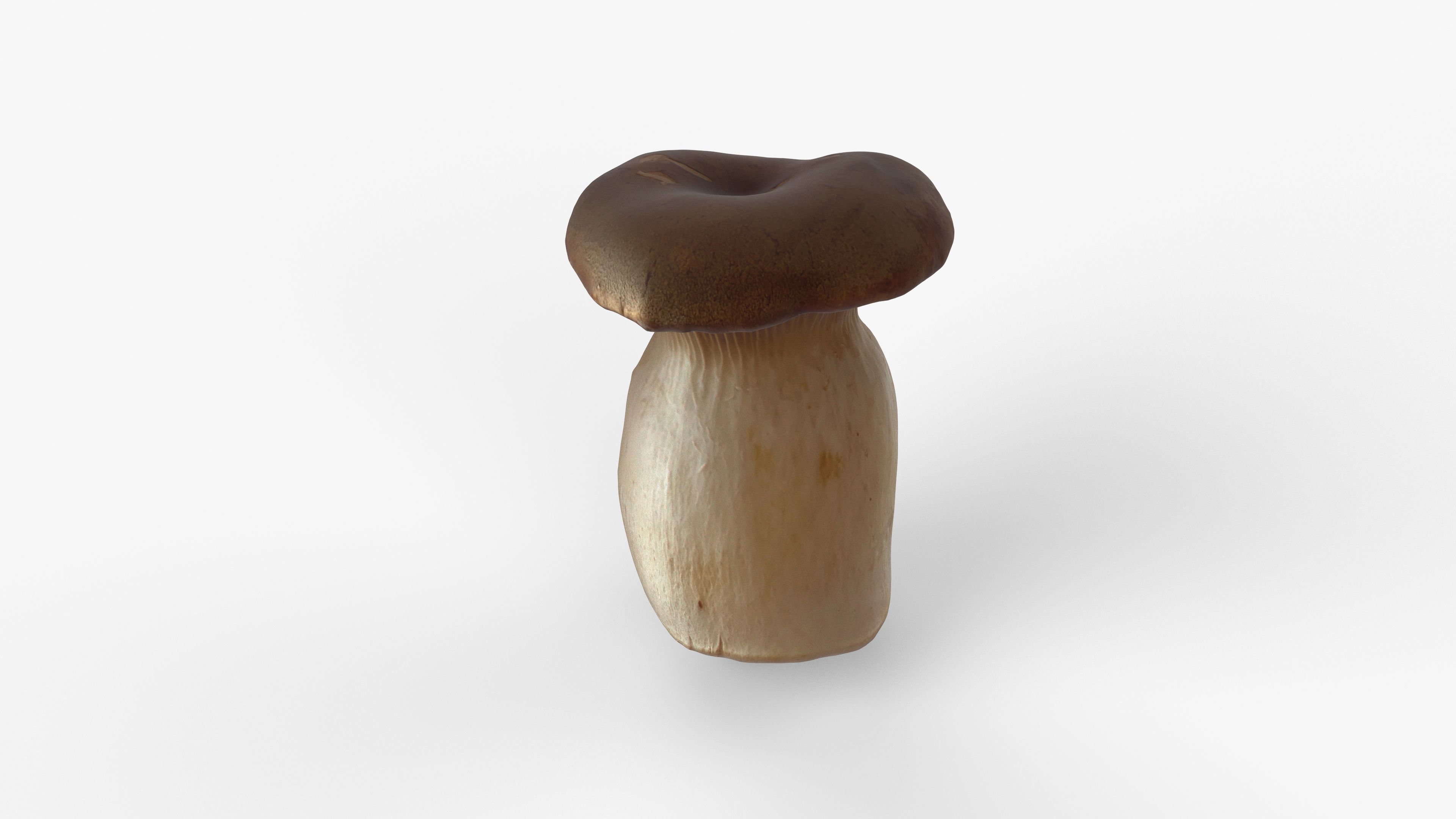 Photorealistic 3D scan of Oyster mushroom Low-poly 3D model_1