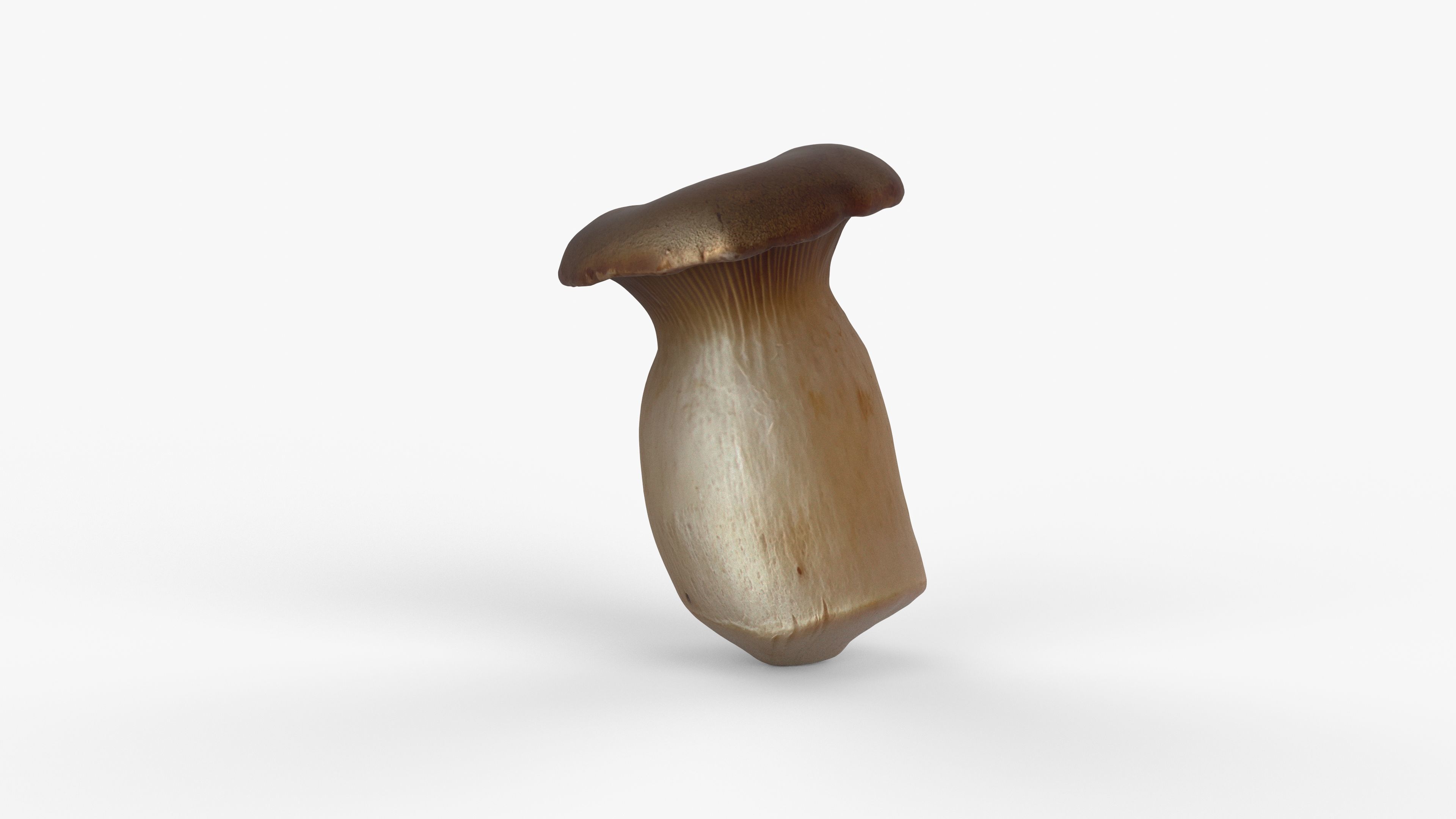 Photorealistic 3D scan of Oyster mushroom Low-poly 3D model_4