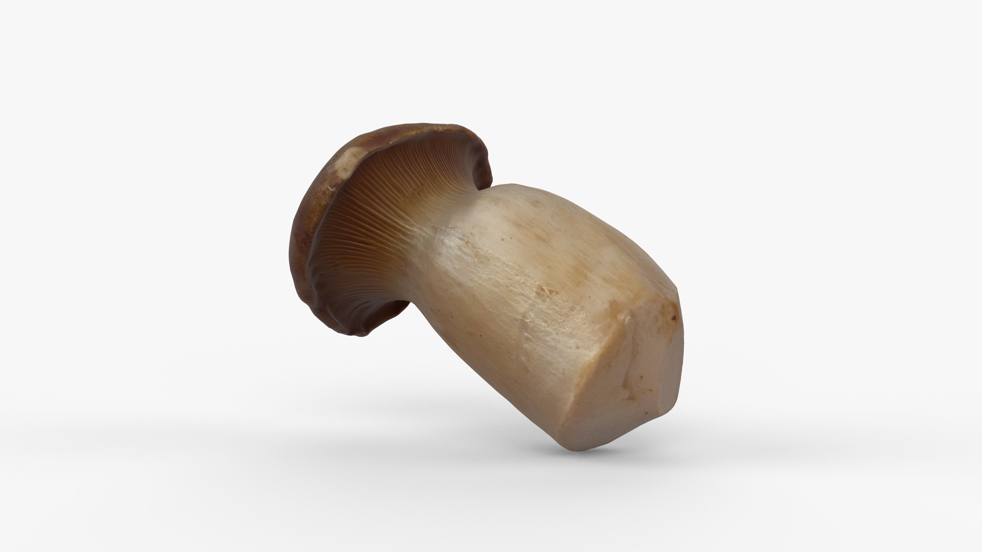 Photorealistic 3D scan of Oyster mushroom Low-poly 3D model_2