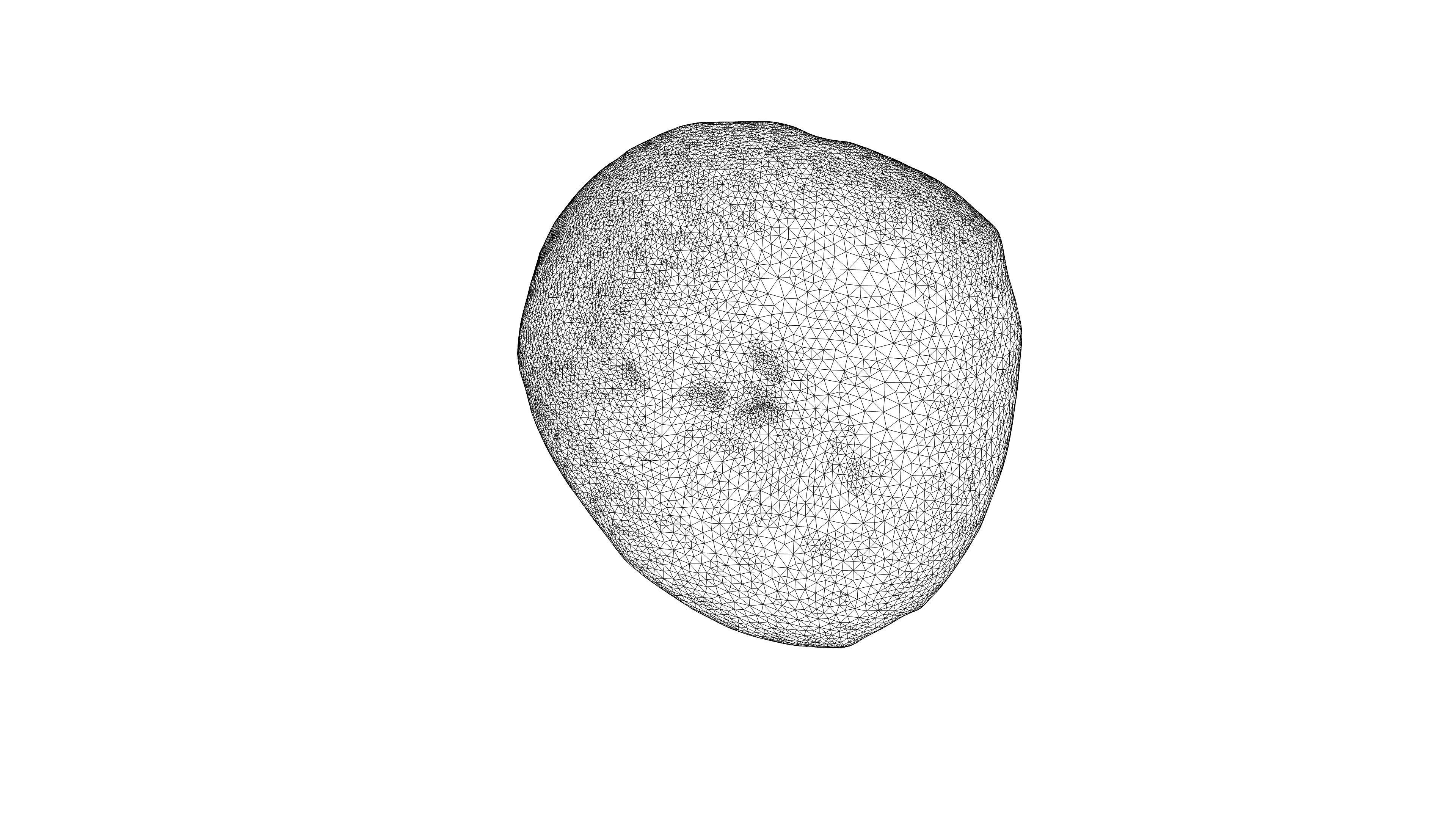 Photorealistic 3D scan of Oyster mushroom Low-poly 3D model_25