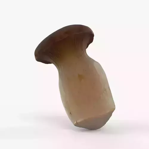 Photorealistic 3D scan of Oyster mushroom Low-poly 3D model