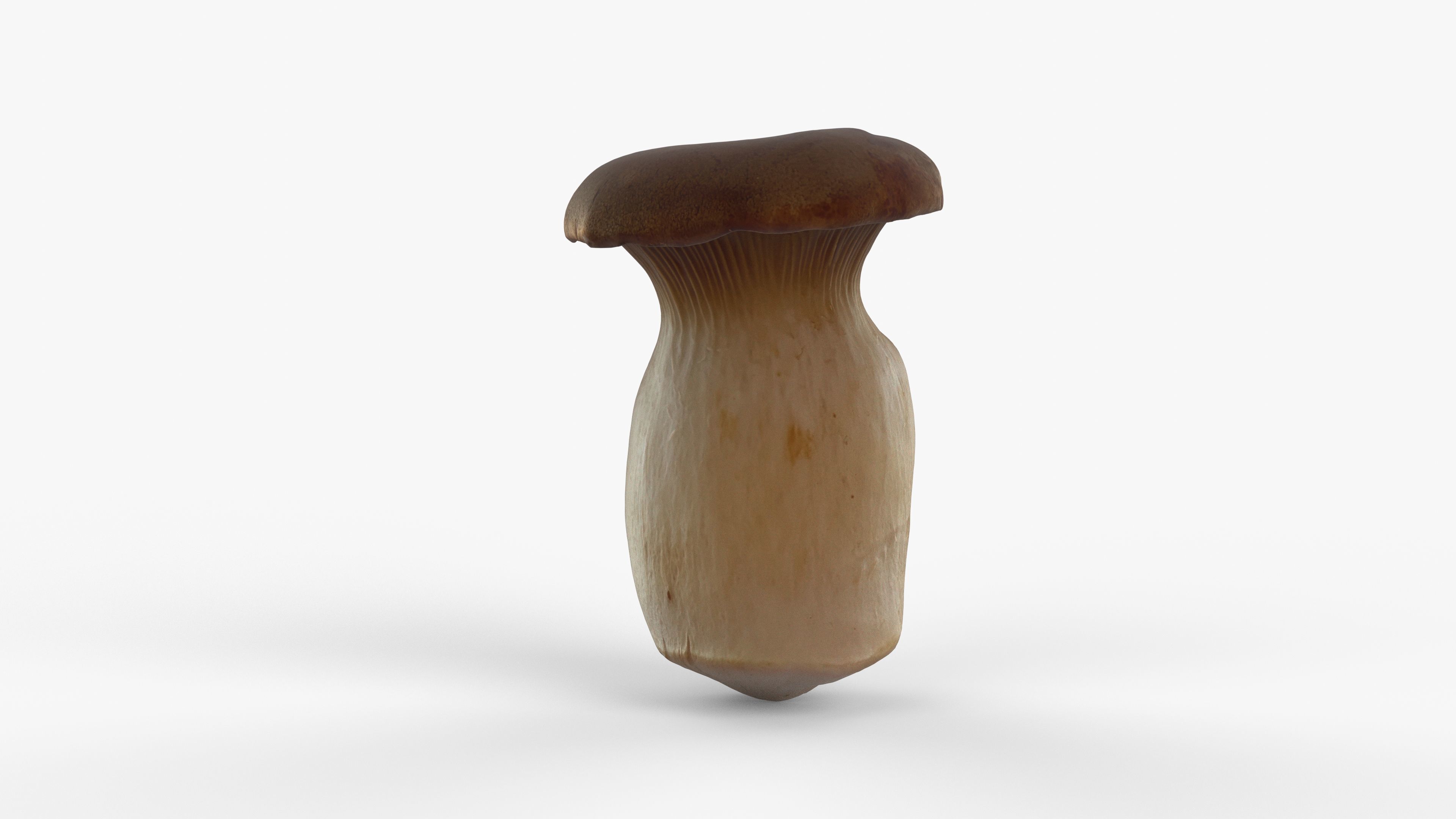 Photorealistic 3D scan of Oyster mushroom Low-poly 3D model_6