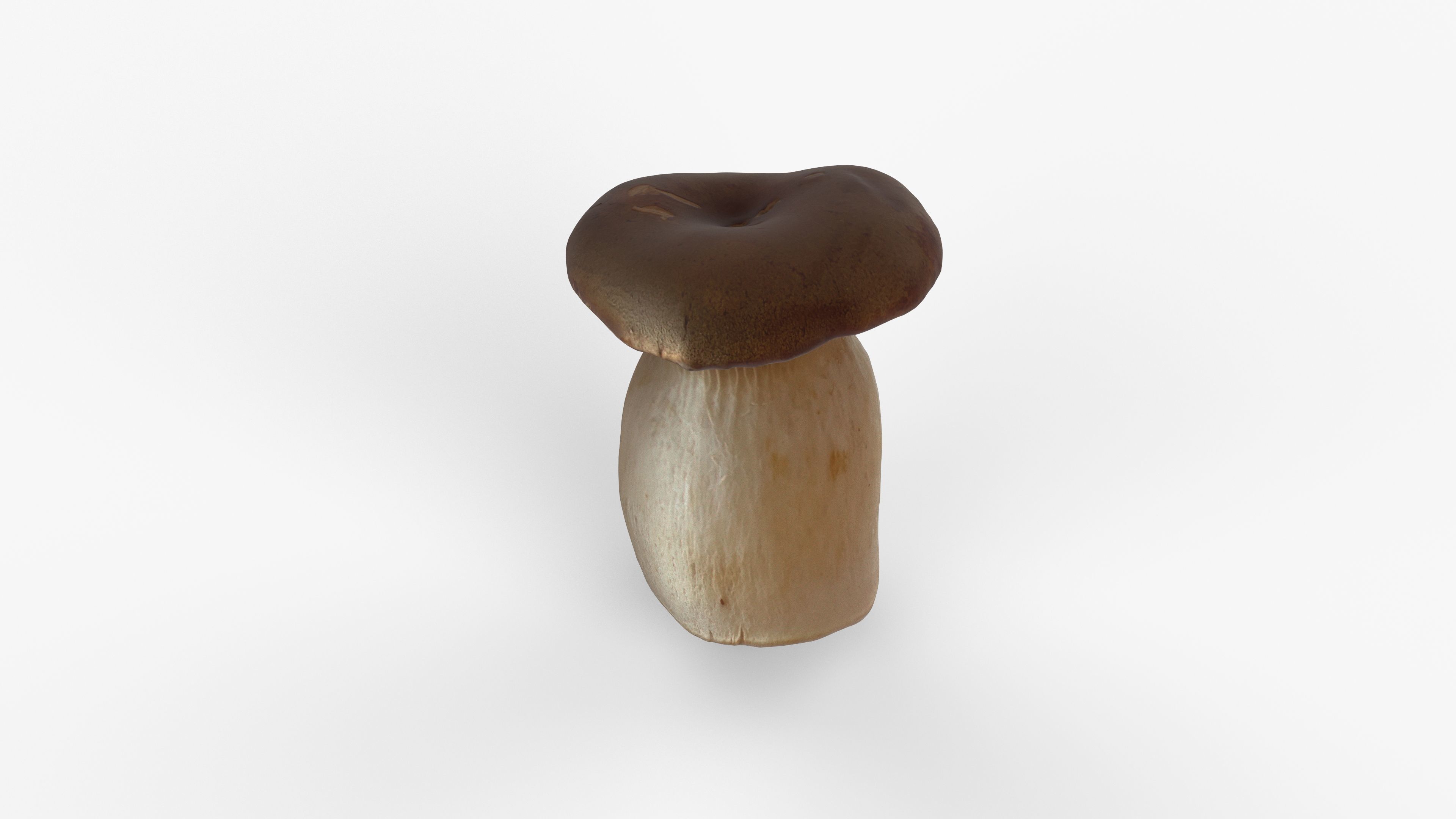 Photorealistic 3D scan of Oyster mushroom Low-poly 3D model_14