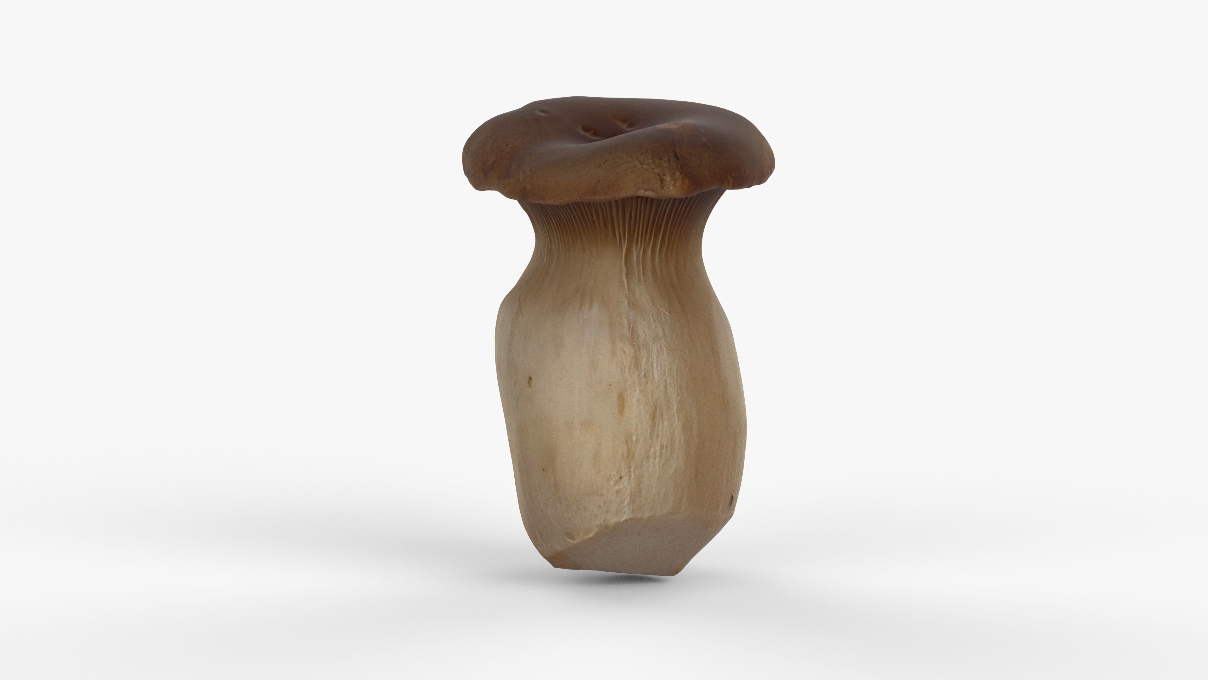 Photorealistic 3D scan of Oyster mushroom Low-poly 3D model_10