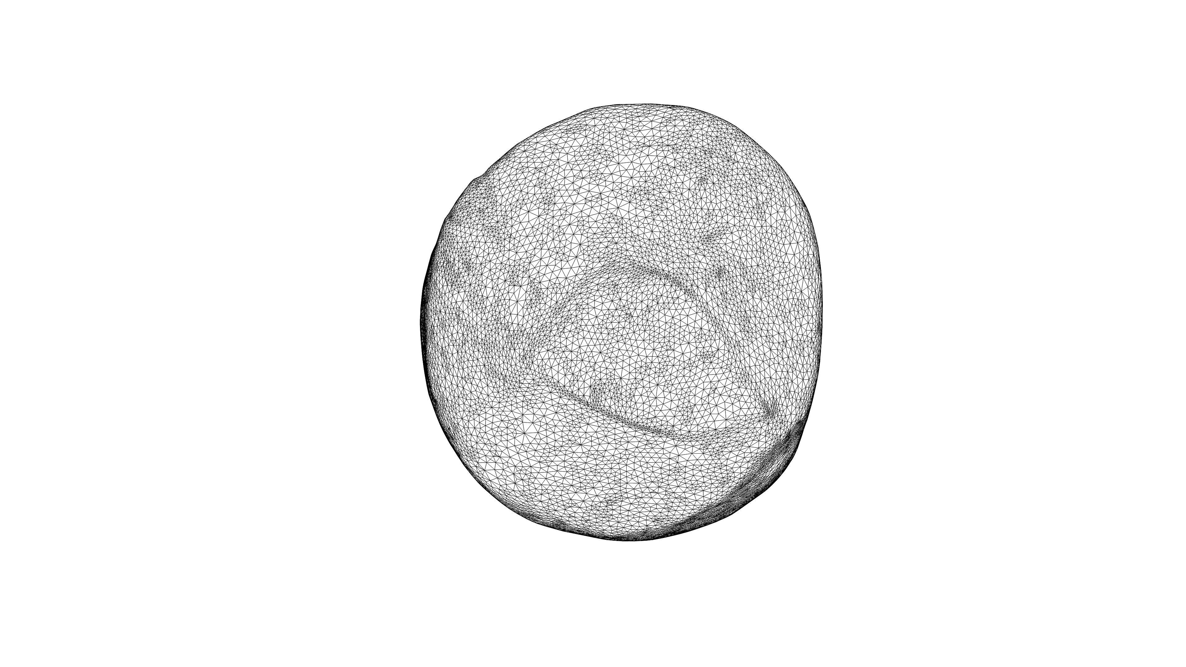 Photorealistic 3D scan of Oyster mushroom Low-poly 3D model_21