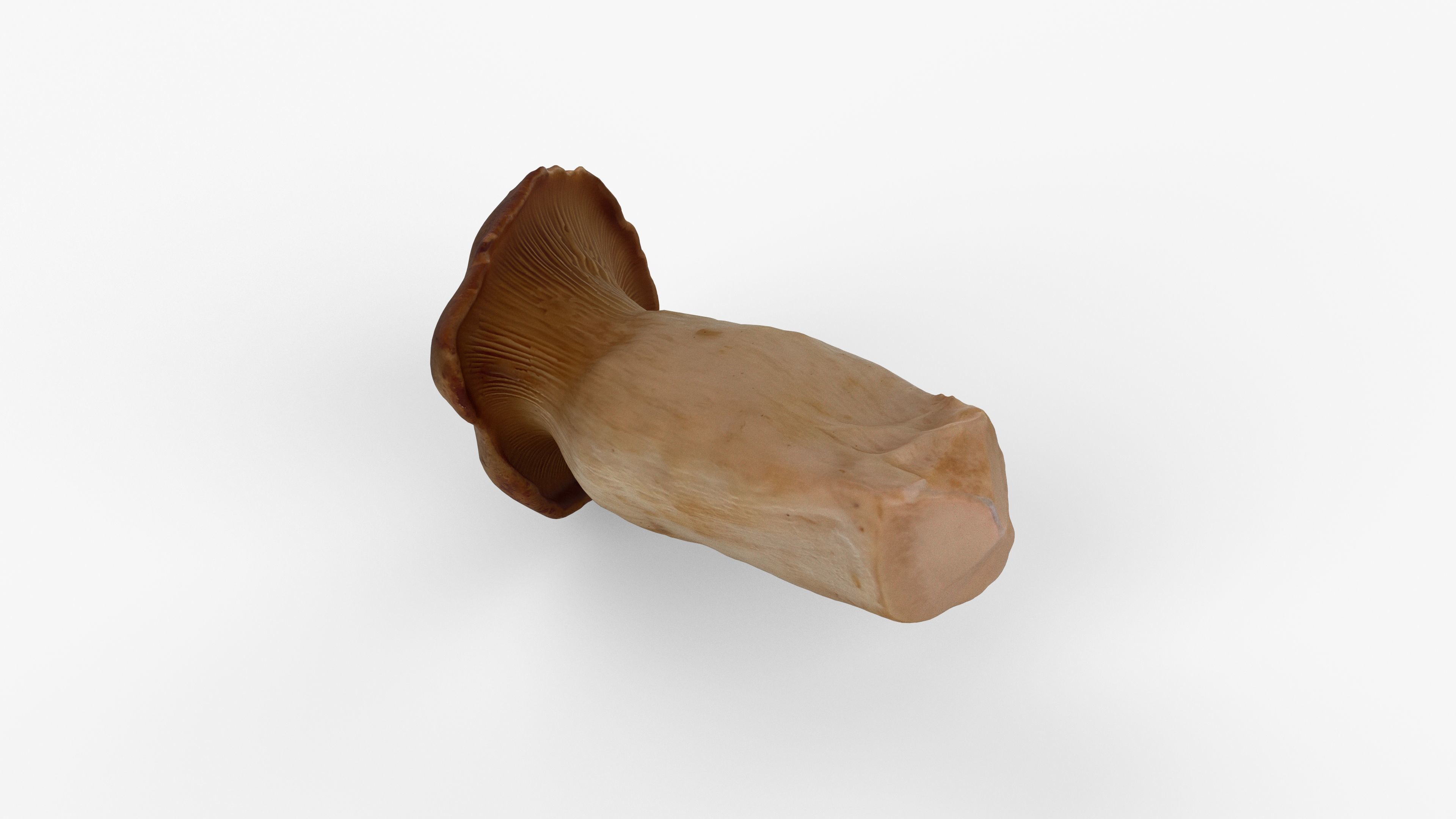Photorealistic 3D scan of Oyster mushroom Low-poly 3D model_8