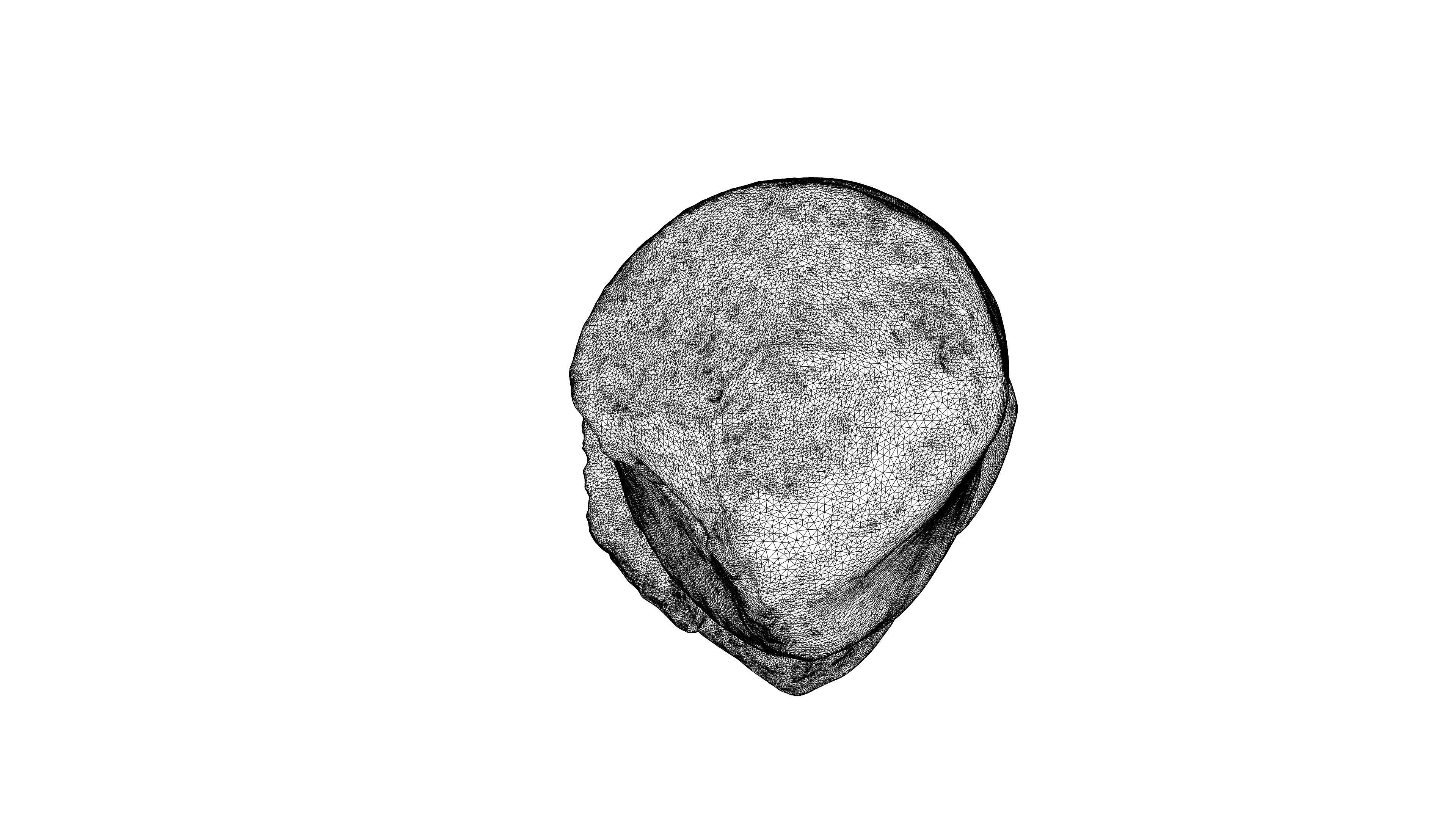 Photorealistic 3D scan of Oyster mushroom Low-poly 3D model_21