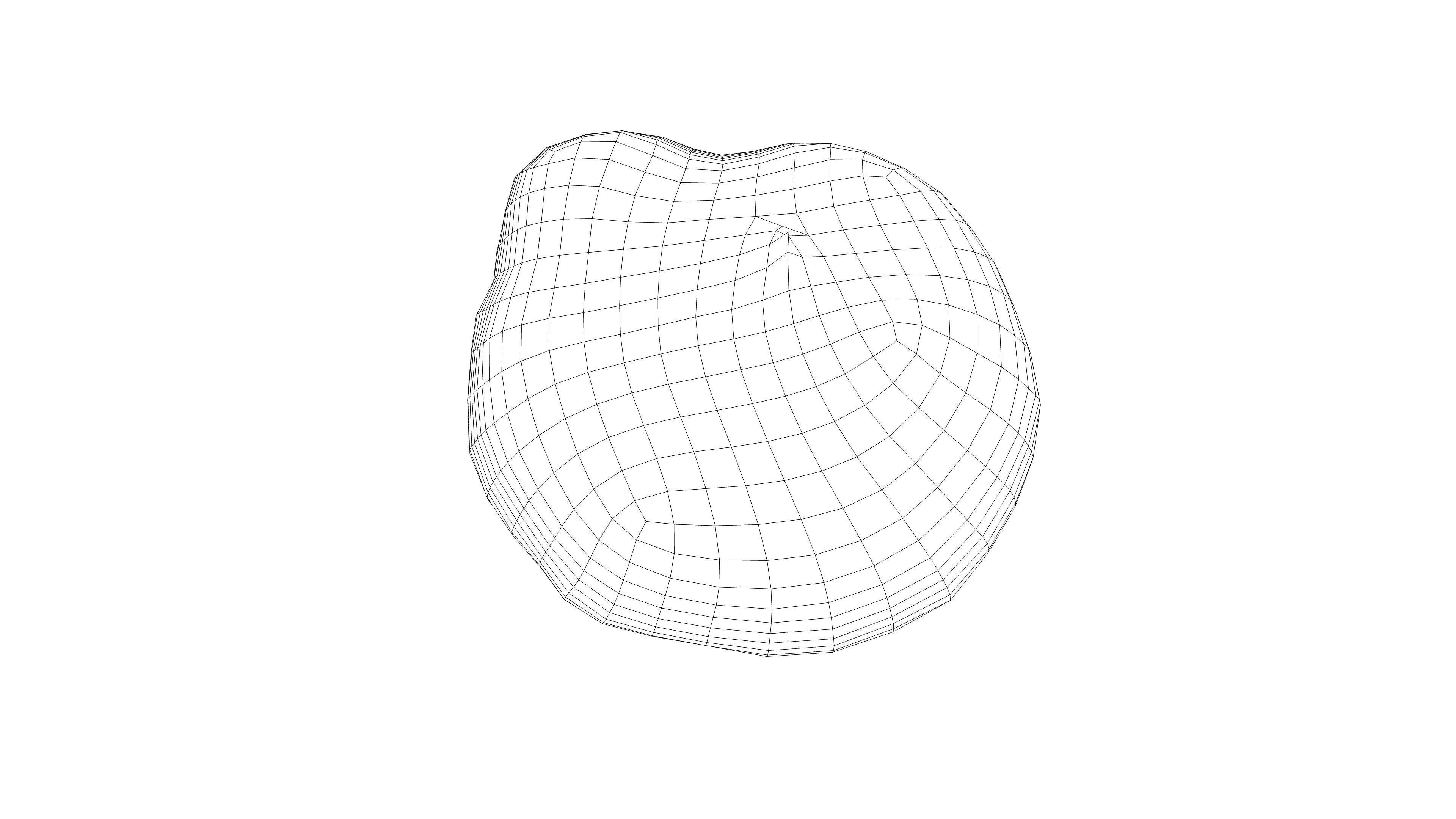 Photorealistic 3D scan of Oyster mushroom Low-poly 3D model_16