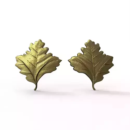 Pair Oak Leaves 3D print model