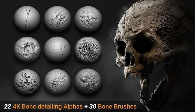 30 Bone detailing Brushes and Alphas Texture