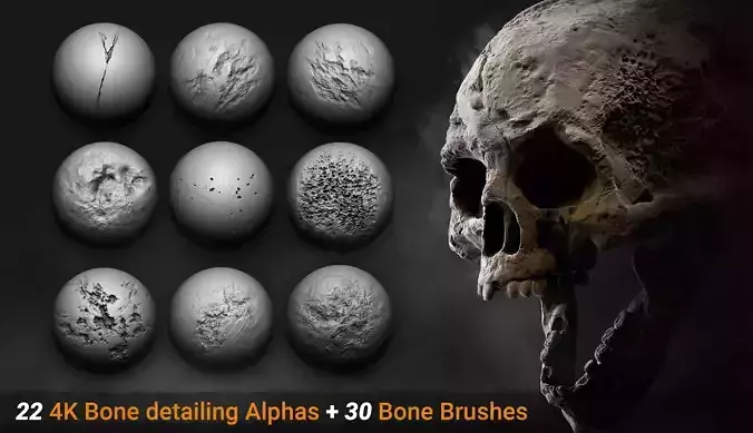30 Bone detailing Brushes and Alphas