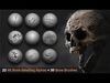 30 Bone detailing Brushes and Alphas Texture_1