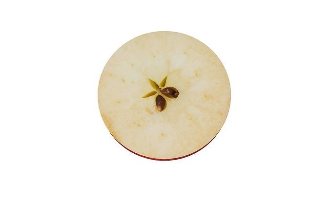 Prop18 A Slice of Apple Low-poly 3D model 4