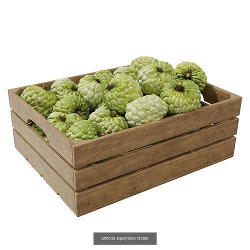 Fruit Crates  3D Model Pack 7