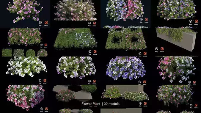 Flower Plant  3D Model Collection