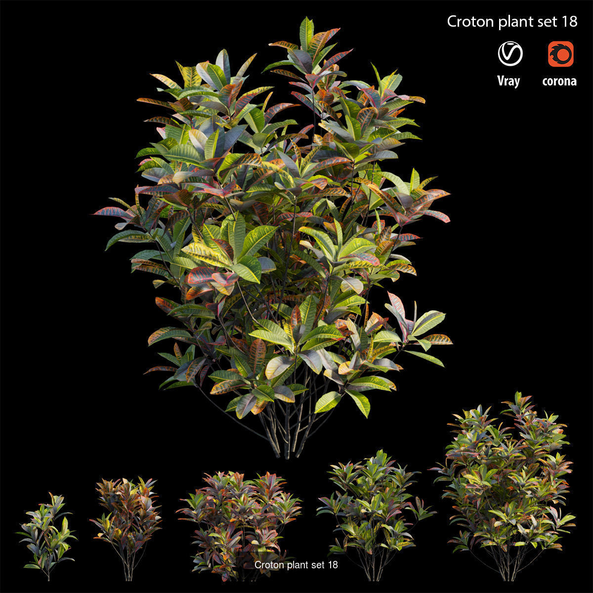 Croton plant 3D Model Collection_21