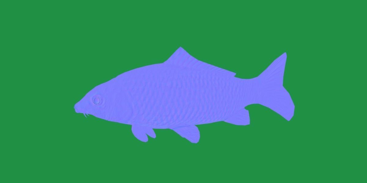 Common Eurasian Carp Fish Low-poly 3D model_29
