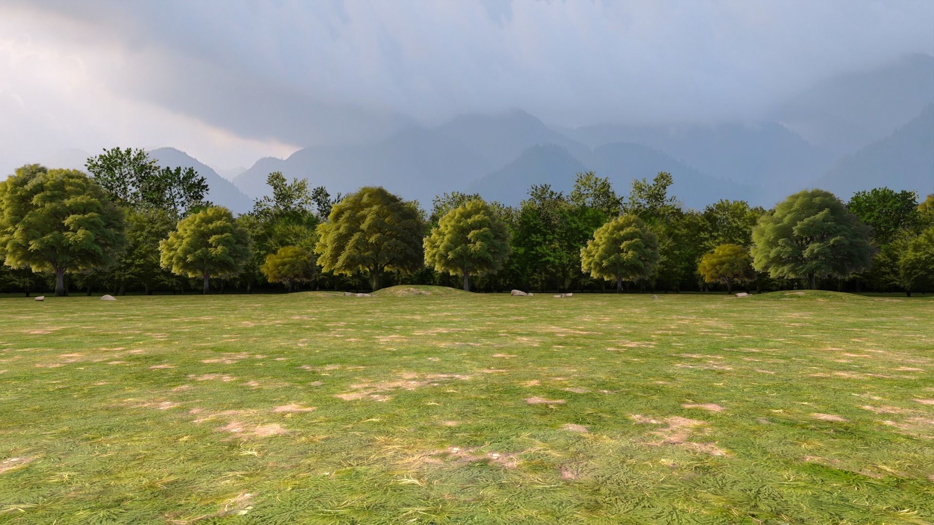 Trees Background Low-poly 3D model_3