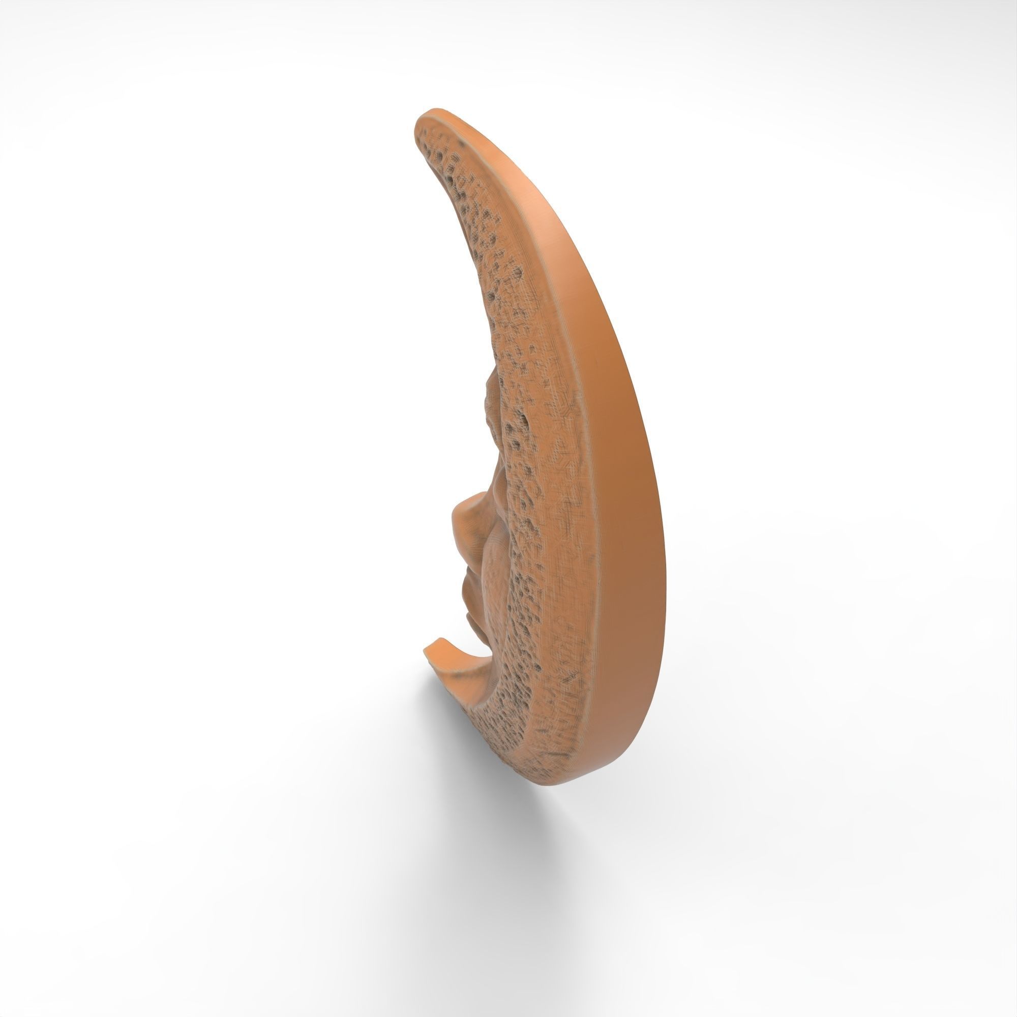 Sleeping Moon Face Sculpture 3D print model_5