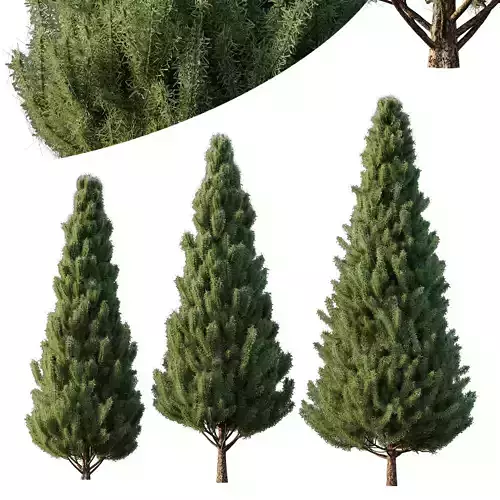 pin tree 03