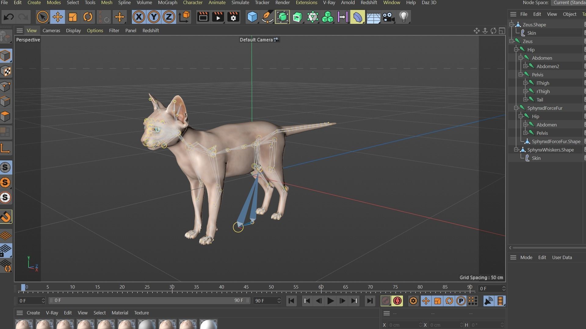 3D Hairless Cat Rigged 3D model_36