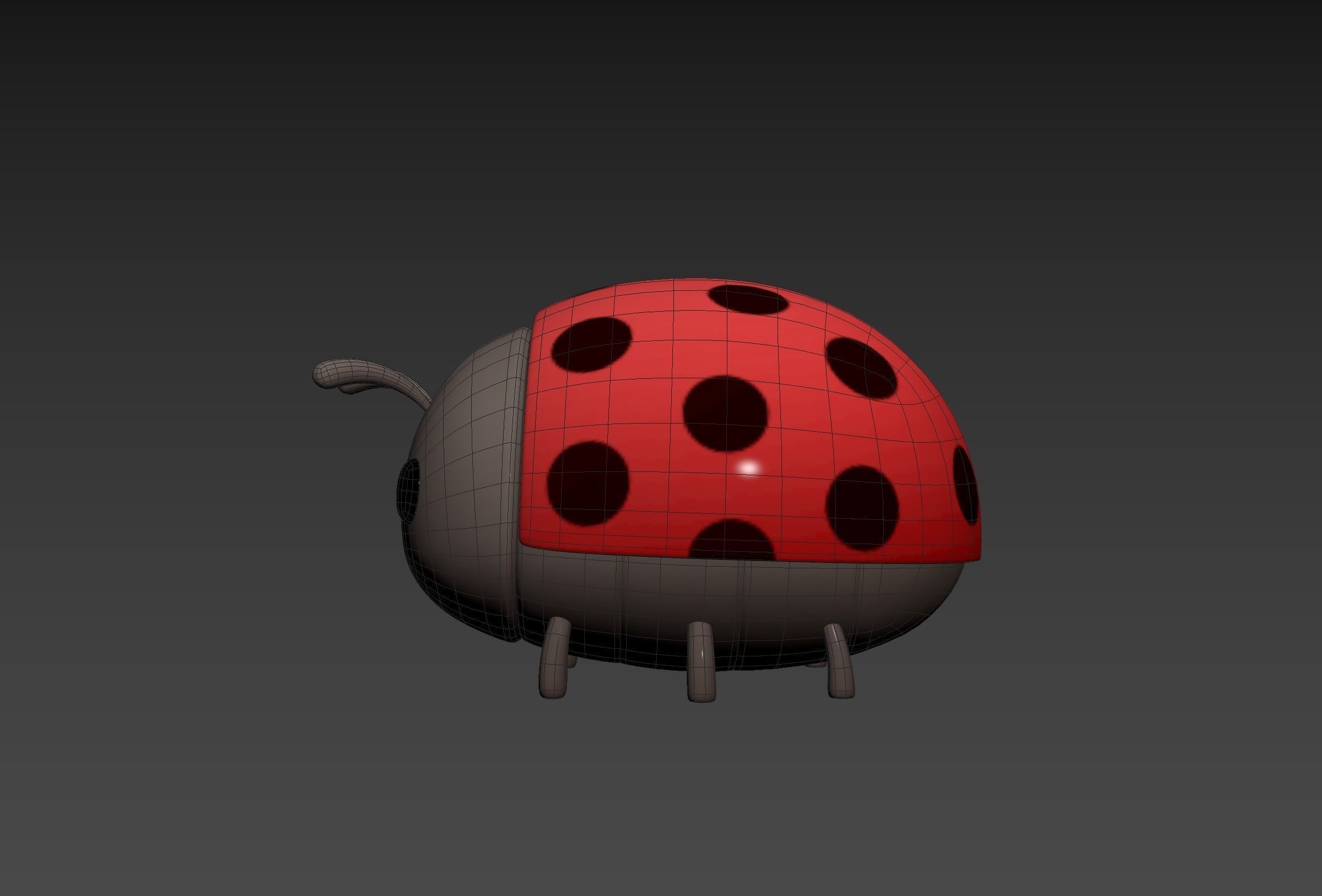 Character296 Ladybug 3D model_31