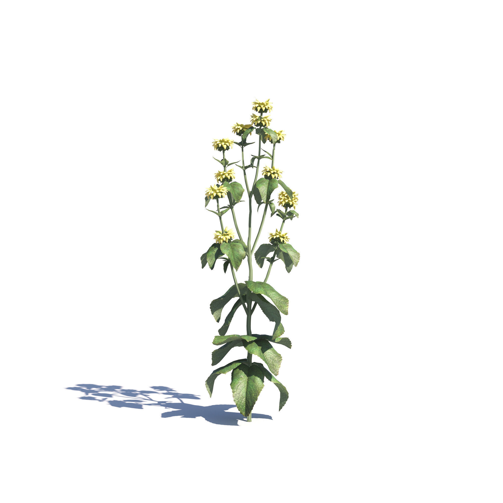 Archmodels vol 275 for c4d - garden plants 3D model_19